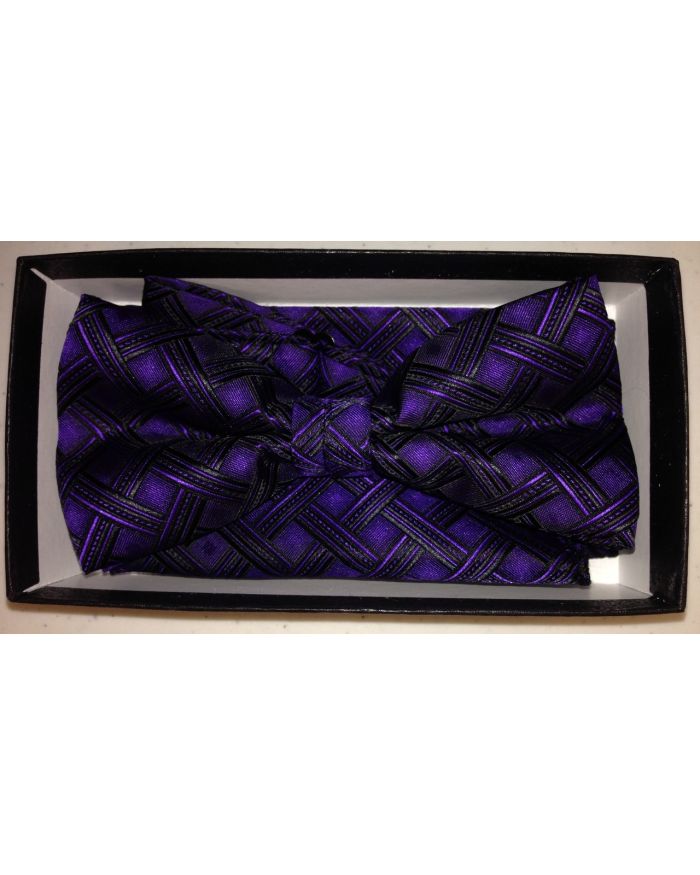 Men's Deluxe Fashion Bow Tie - Purple & Black