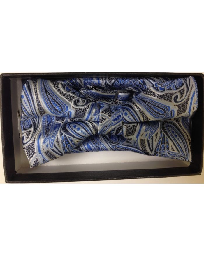 Men's Fancy Stroke Bow Tie + Hanky - Blue