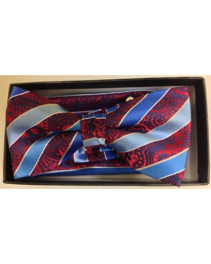 Men's Striped AND Paisley Bow Tie - Wine Red and Blue