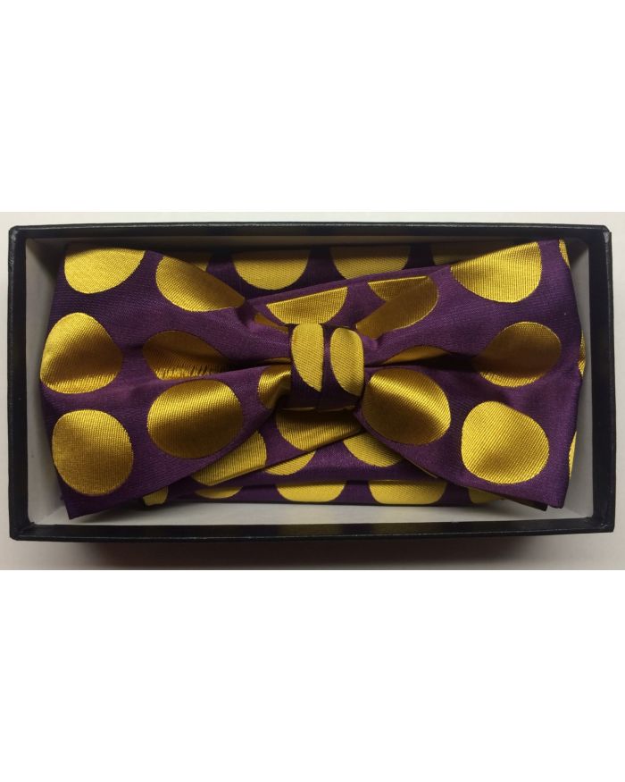 Men's Supreme© Polka Dot Bow Tie + Hanky - Purple & Gold