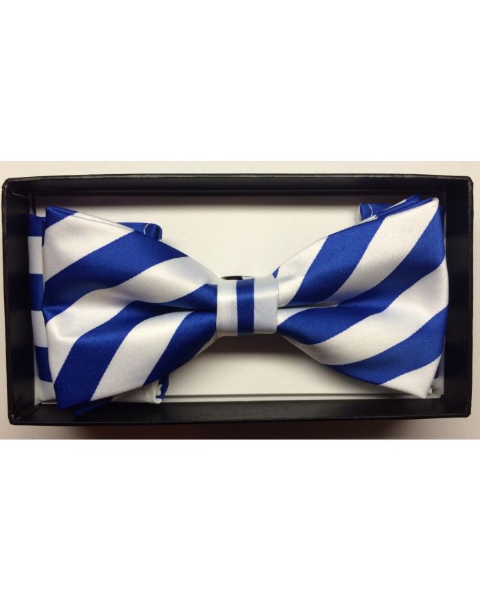 Men's Diagonal Striped Bow Tie + Hanky - White & Royal Blue