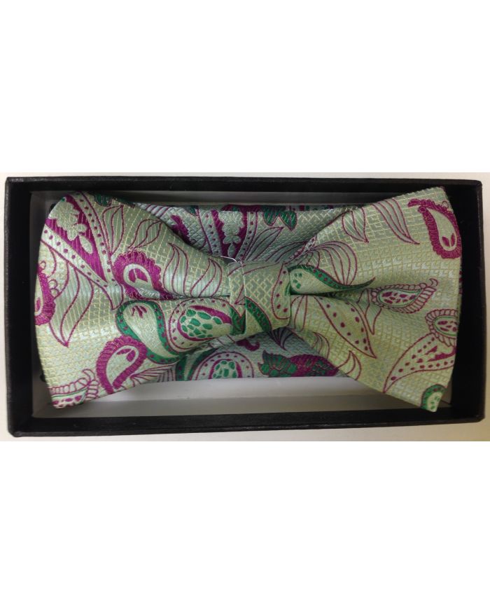 Men's Multi Paisley AND Checked Bow Tie - Mint/Violet